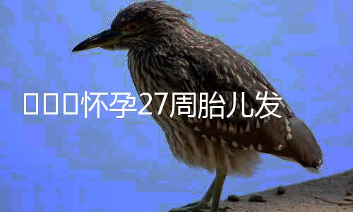 ​​​怀孕27周胎儿发育情况都有什么