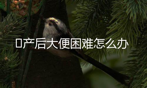 ​产后大便困难怎么办