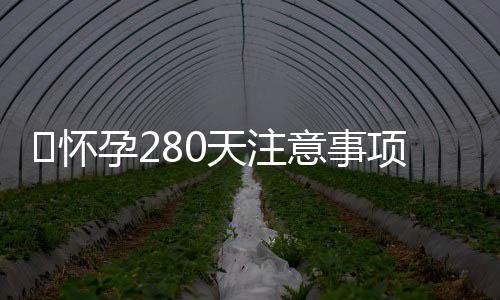 ​怀孕280天注意事项