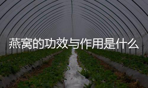 燕窝的功效与作用是什么