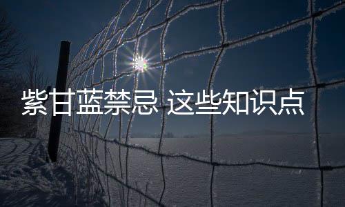 紫甘蓝禁忌 这些知识点要牢记