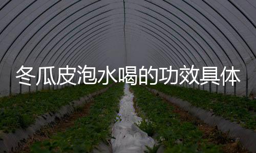 冬瓜皮泡水喝的功效具体有哪些