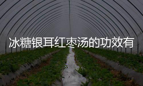 冰糖银耳红枣汤的功效有哪些