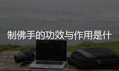 制佛手的功效与作用是什么