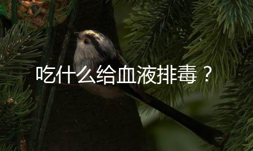 吃什么给血液排毒？