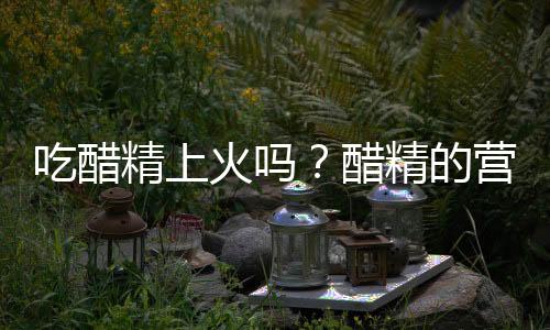 吃醋精上火吗？醋精的营养价值有哪些