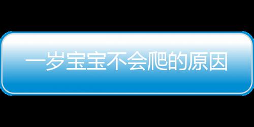 一岁宝宝不会爬的原因