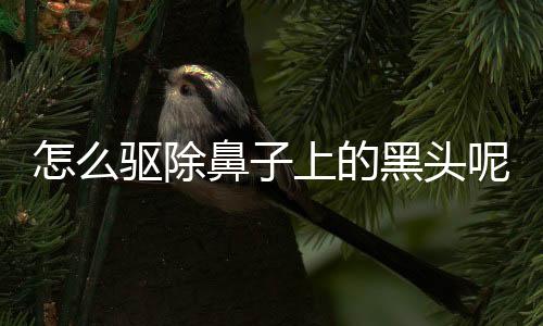 怎么驱除鼻子上的黑头呢