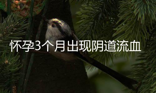 怀孕3个月出现阴道流血应该怎么办？