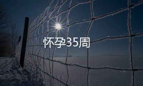 怀孕35周