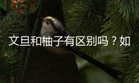 文旦和柚子有区别吗？如何挑选文旦柚