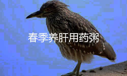 春季养肝用药粥