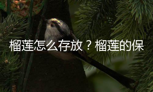 榴莲怎么存放？榴莲的保存方法