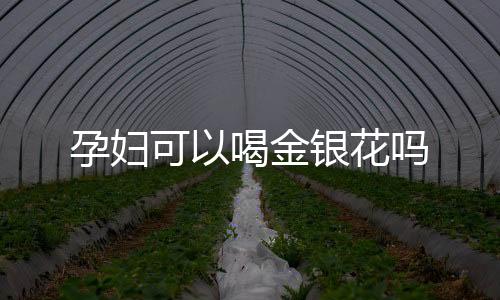 孕妇可以喝金银花吗