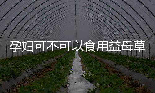 孕妇可不可以食用益母草