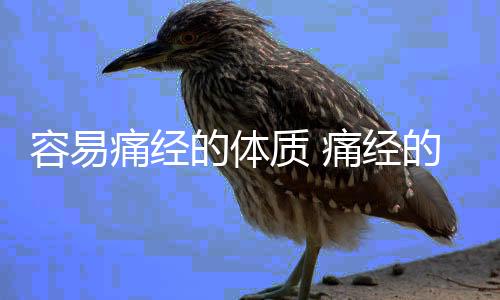 容易痛经的体质 痛经的饮食调理