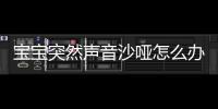 宝宝突然声音沙哑怎么办