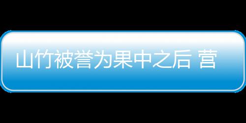 山竹被誉为果中之后 营养丰富抗氧化作用超强