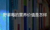 野草莓的营养价值是怎样的