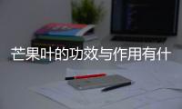 芒果叶的功效与作用有什么