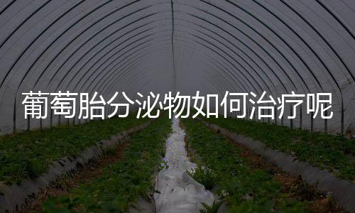 葡萄胎分泌物如何治疗呢