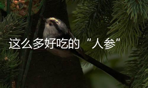 这么多好吃的“人参” 今天你吃了吗？